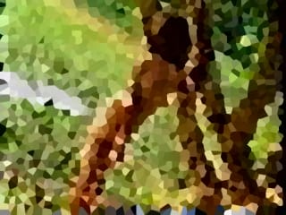 [Image: 38-16245652542021-06-25-00h58m55s650.jpg]